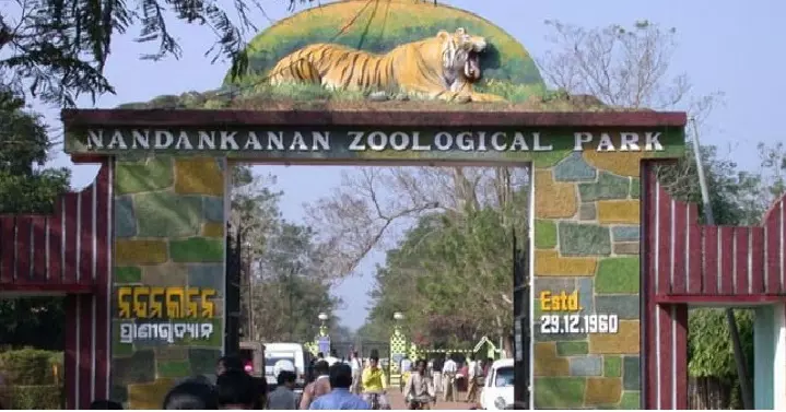 Odishas Nandankanan Zoo Expands with Major Animal Exchange Programme