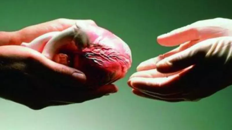 Organ Donation in India: Bridging the Gap Between Life and Death