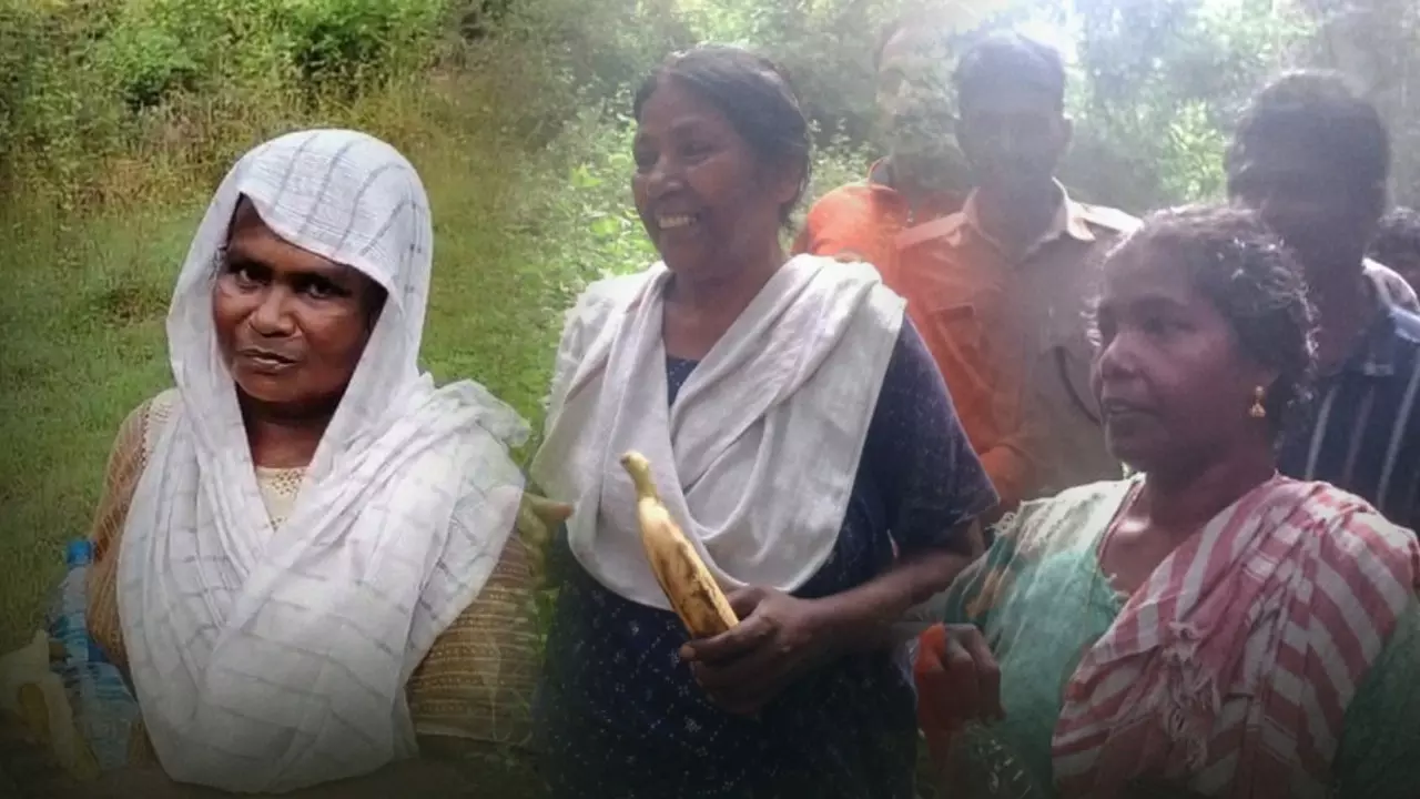 Three Kerala Women Rescued After 14-Hour Forest Ordeal