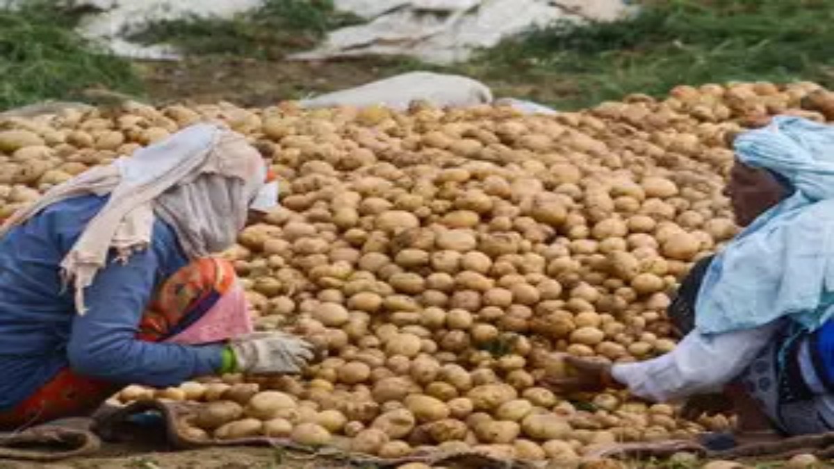 Bengal Potato Traders Threaten Strike Over Curbs on Sales to Other States