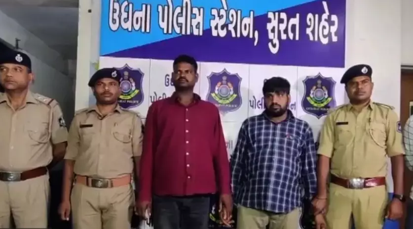 Marijuana Smuggling Racket Busted in Surat; Two from Odisha Arrested