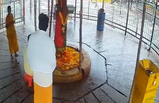 Watch: Tremors felt at Medaram Sammakka Saralamma Temple