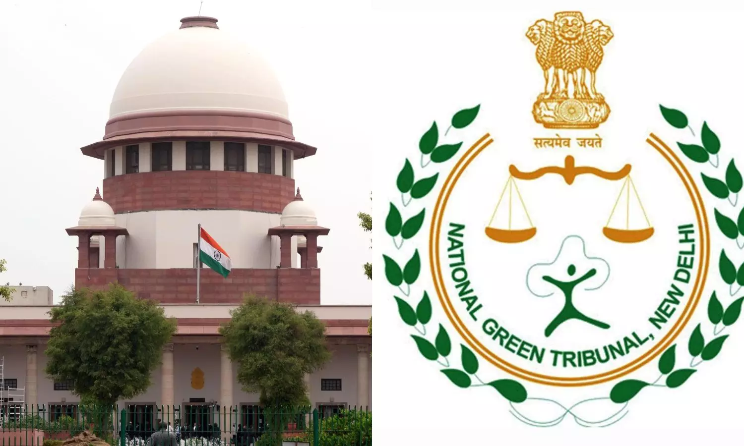 Tribunal cant outsource opinion, base decision on it: SC rejects NGT order