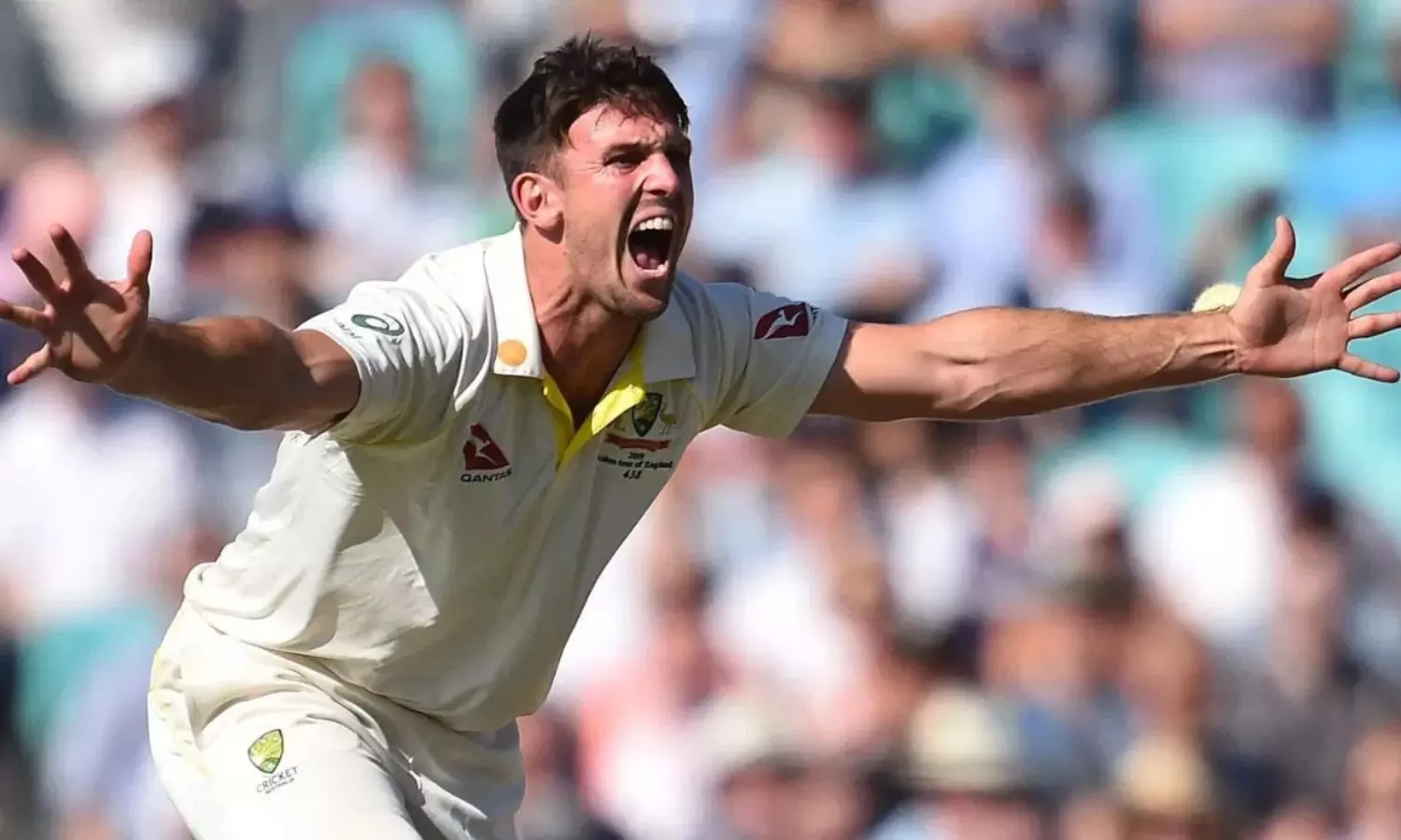 I honestly think well see Mitch Marsh bowl in Adelaide: Lyon