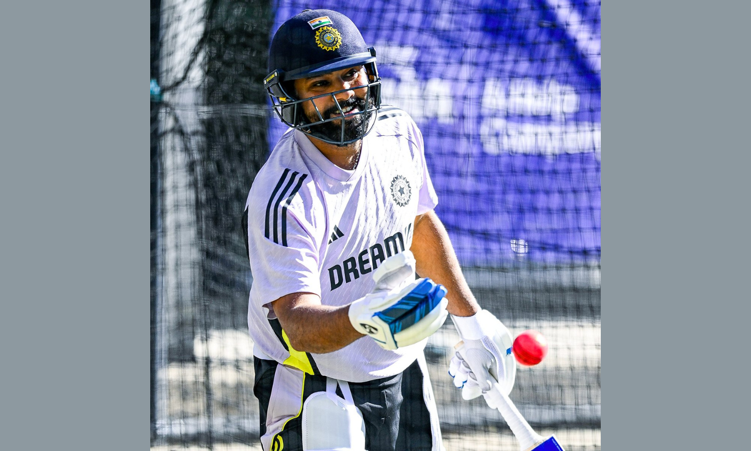 Border Gavaskar Trophy: Rohit's batting position in focus ahead of Adelaide Test