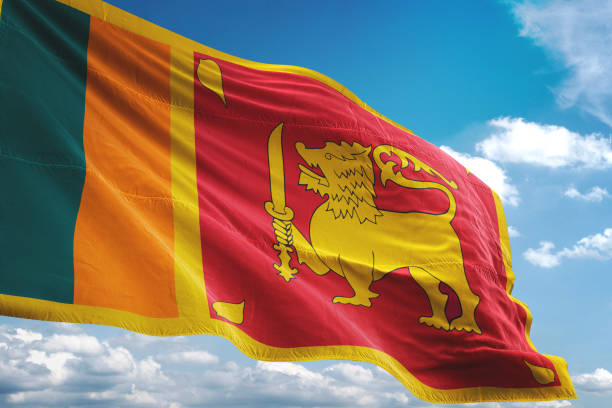 Sri Lanka To Ink Debt Deals By Year's End: Economic Development Deputy Minister