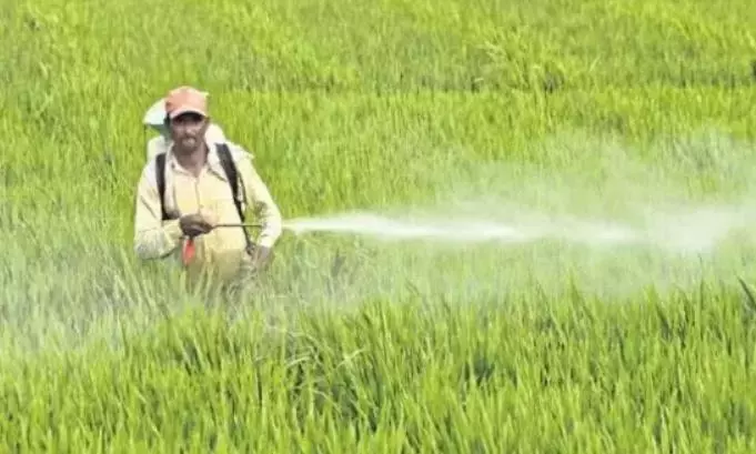 Experts Call for State Power on Pesticides Effects