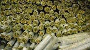 Excise STF Seizes Over 3 Kg of Ganja, Arrests Two Peddlers in Dhoolpet