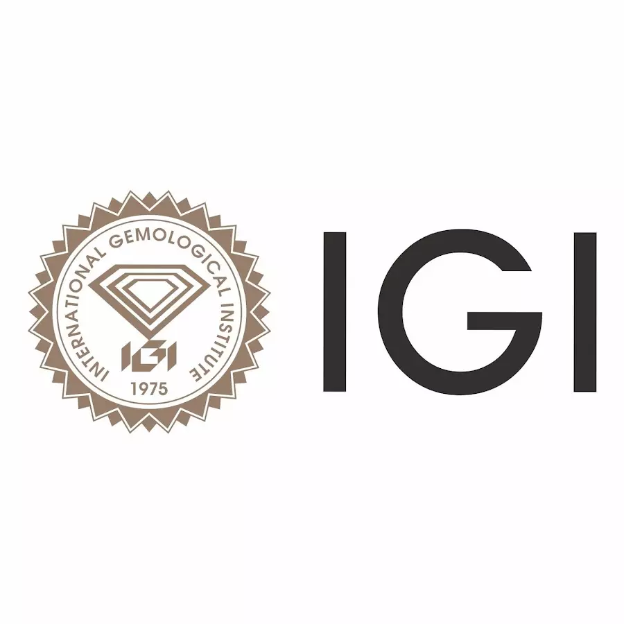 IGI India and IKS Health Announce IPOs Worth Over ₹6,700 Crore