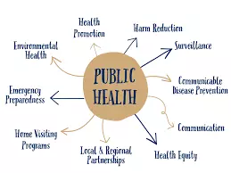 RBIs Handbook: Telangana Health Indicators Improve, Anaemia Remains a Concern