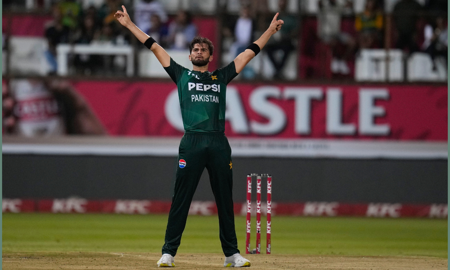 Shaheen Shah Afridi becomes first Pakistan pacer to pick 100 wickets in all formats