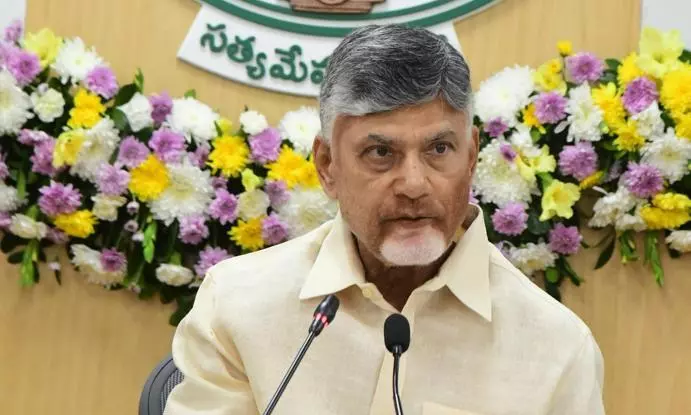 Eliminate PDS Rice Mafia, CM Naidu Tells Collectors