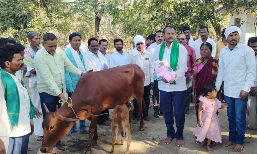 Adivasis Donate Cow, Calf to Baby who Lost Mother