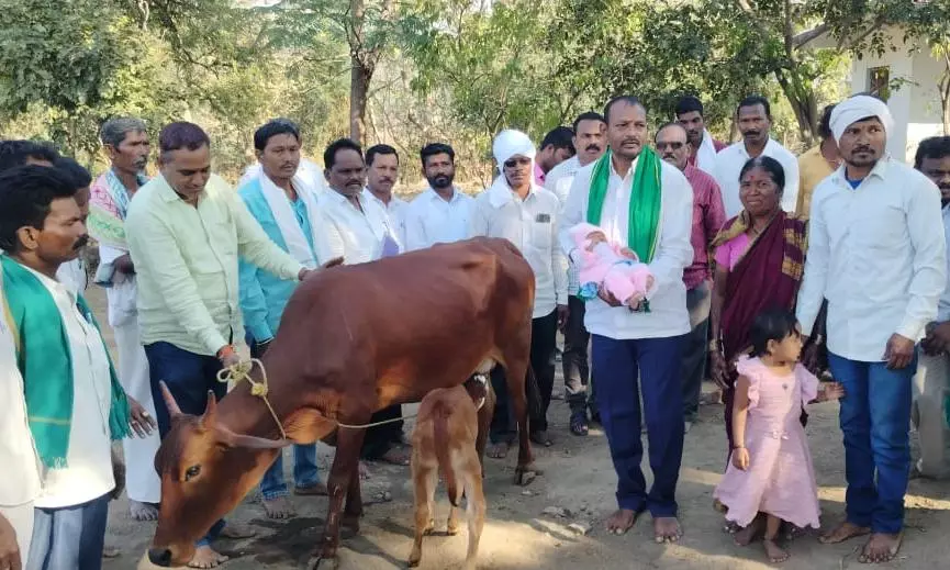 Adivasis Donate Cow, Calf to Baby who Lost Mother