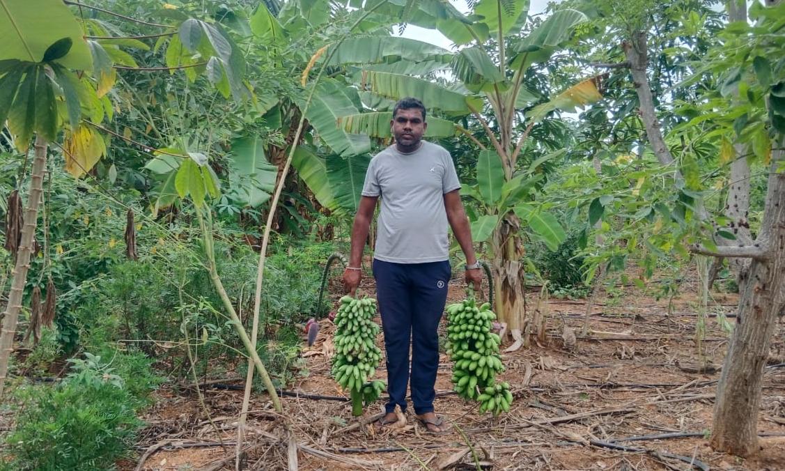 Kuppam Farmer Makes Big Success out of Natural Agriculture Movement