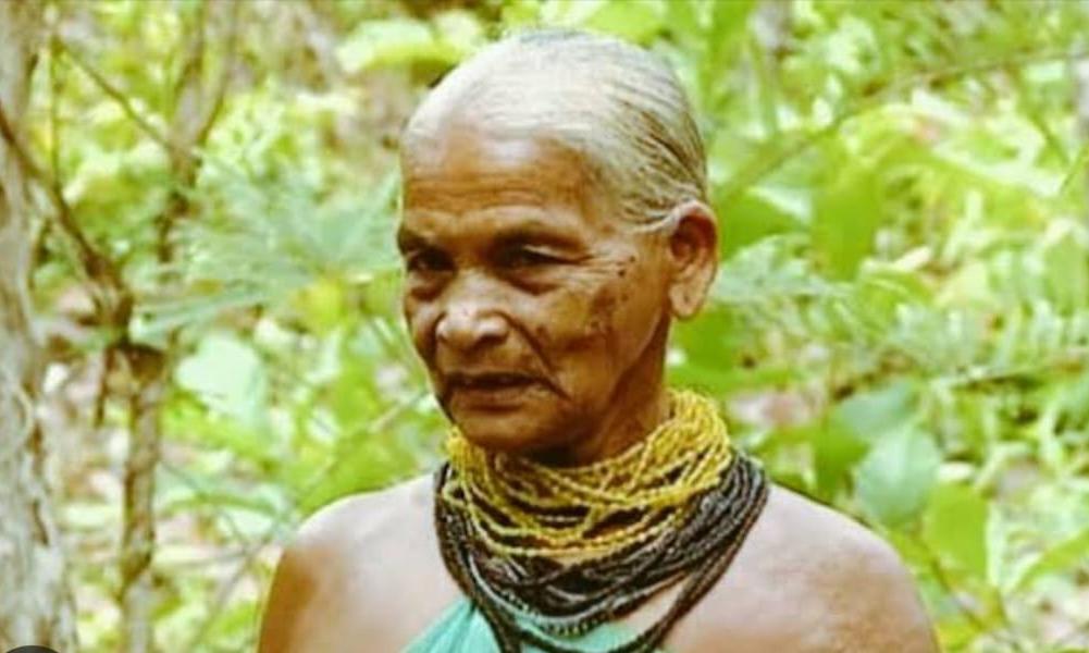 Environmental Icon Tulsi Gowda, Padma Shri Awardee, Dies at 86