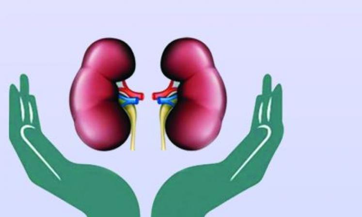 Hyderabad: Patient's Family Donate Liver, Kidney, Saves Life