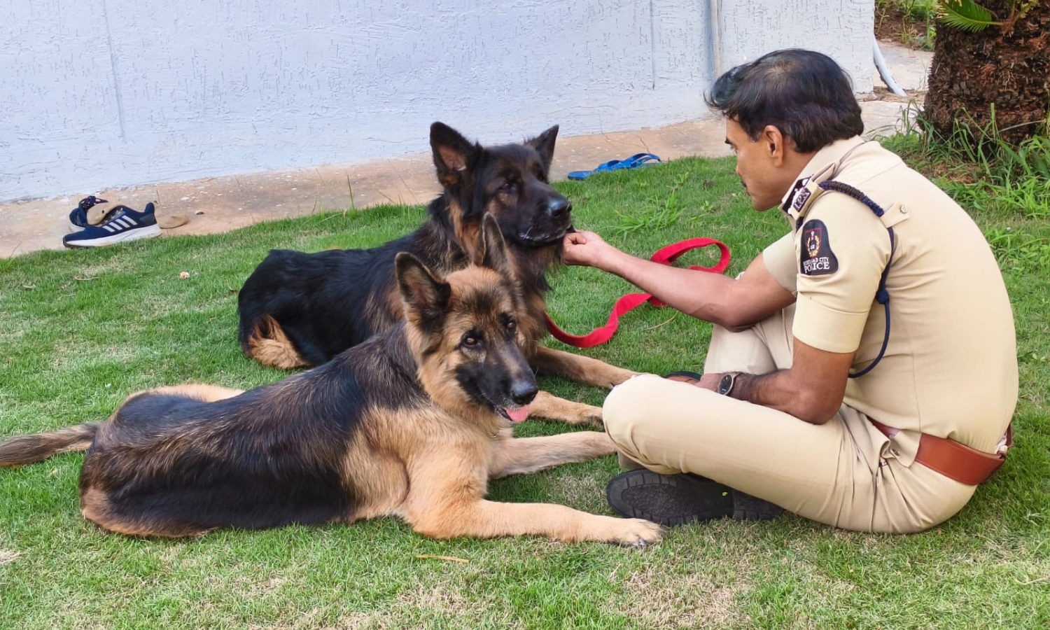 Hyderabad Police Commissioner CV Anand mourns sniffer dog's death