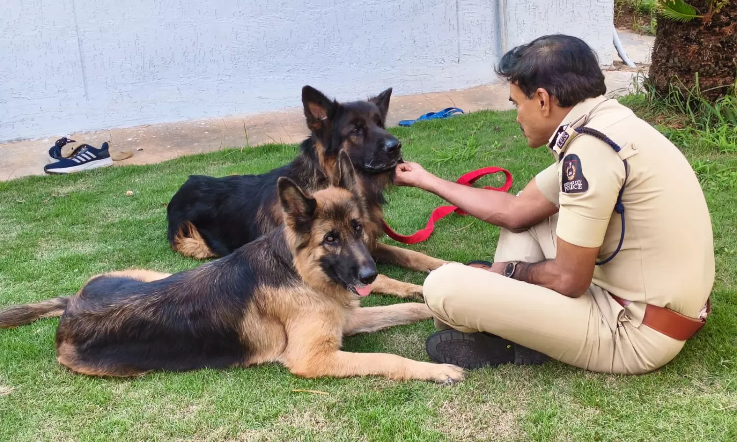 Hyderabad Police Commissioner CV Anand mourns sniffer dogs death