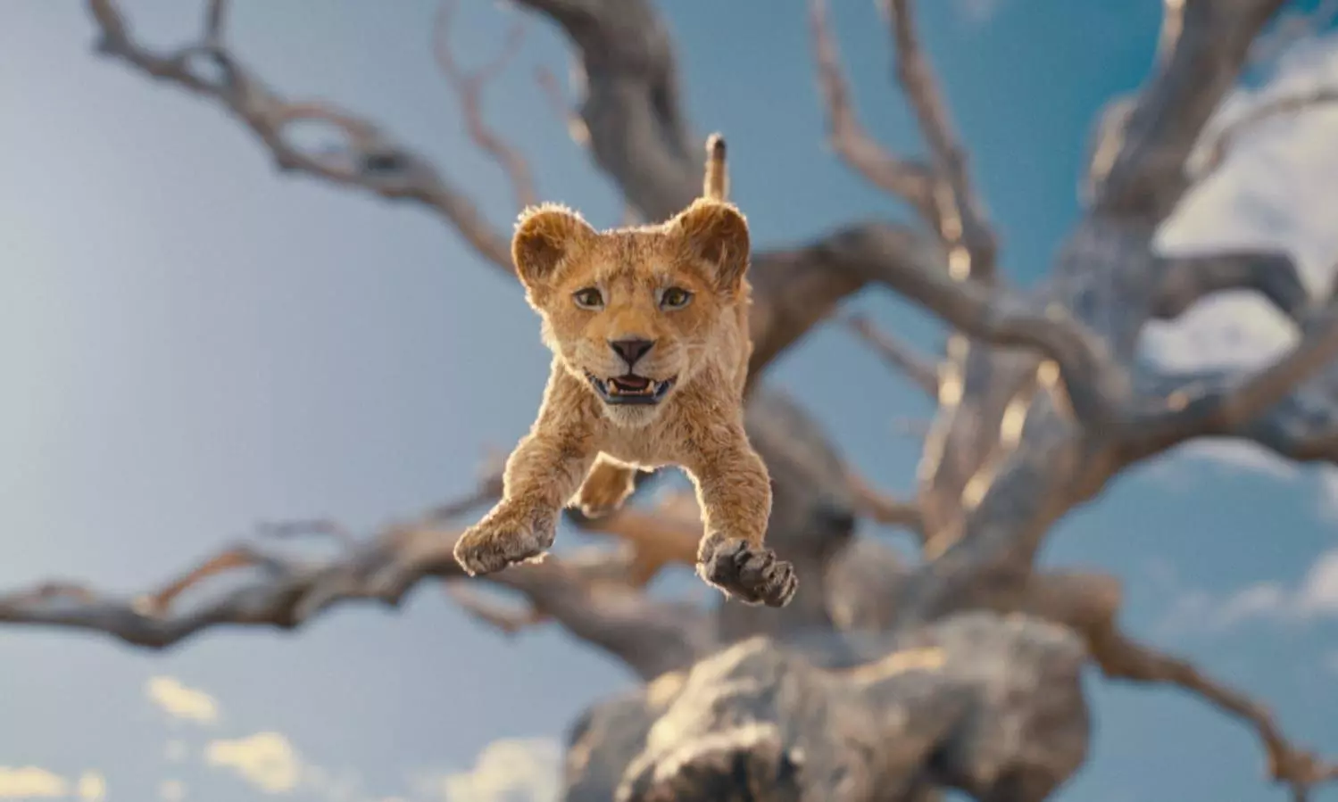 Mufasa: The Lion King emerges as the frontrunner this Christmas, leading advance ticket sales across national cinemas!