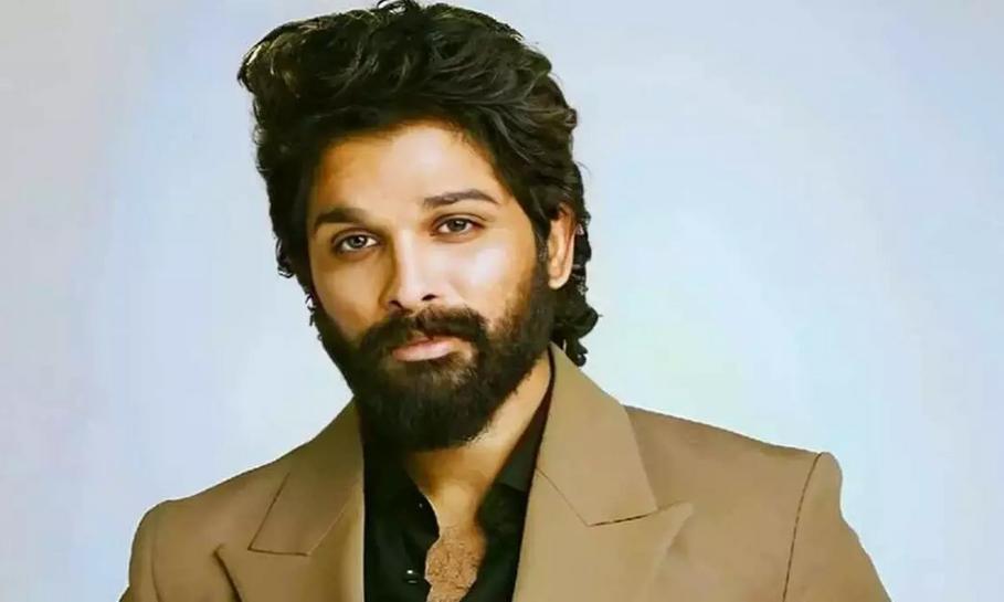 What did Chikadpally cops ask Allu Arjun during interrogation?