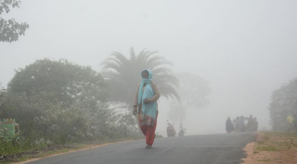 Persistent rains not deterring tourists from flocking to N Andhra