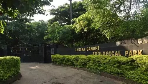 Vizag zoo gets as new curator