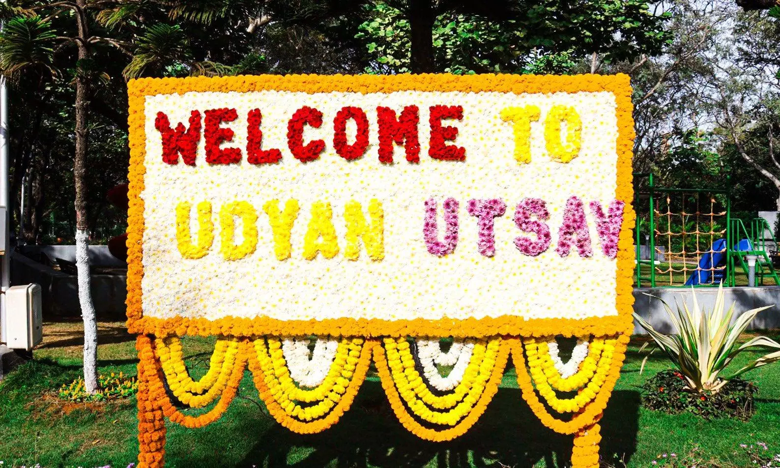 Udyan Utsav 2025: Rashtrapati Nilayam transports visitors to an enchanting world