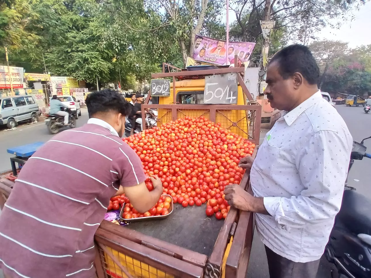 Drastic Dip in Tomato Prices Leaves Farmers Fuming in Telangana