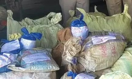 80 kg Ganja Seized in Gowravaram Village