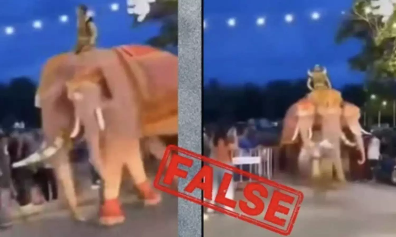 Fact Check: Viral Three-Headed Elephant Video from Thailand, Not Kumbh Mela