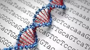 Genetic testing must for precision medicine: Experts