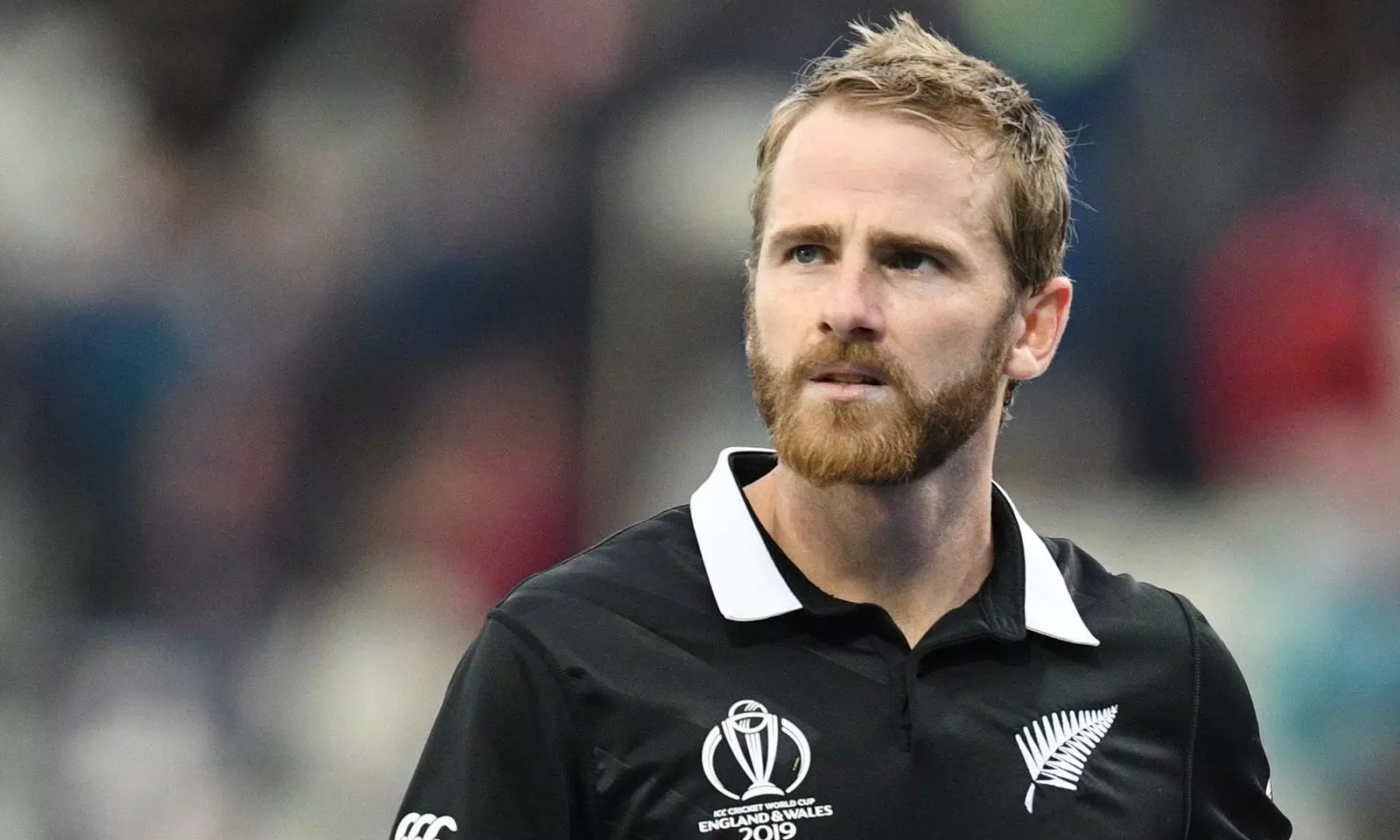 New Zealand announce squad for Champions Trophy, recalls match-winning trio