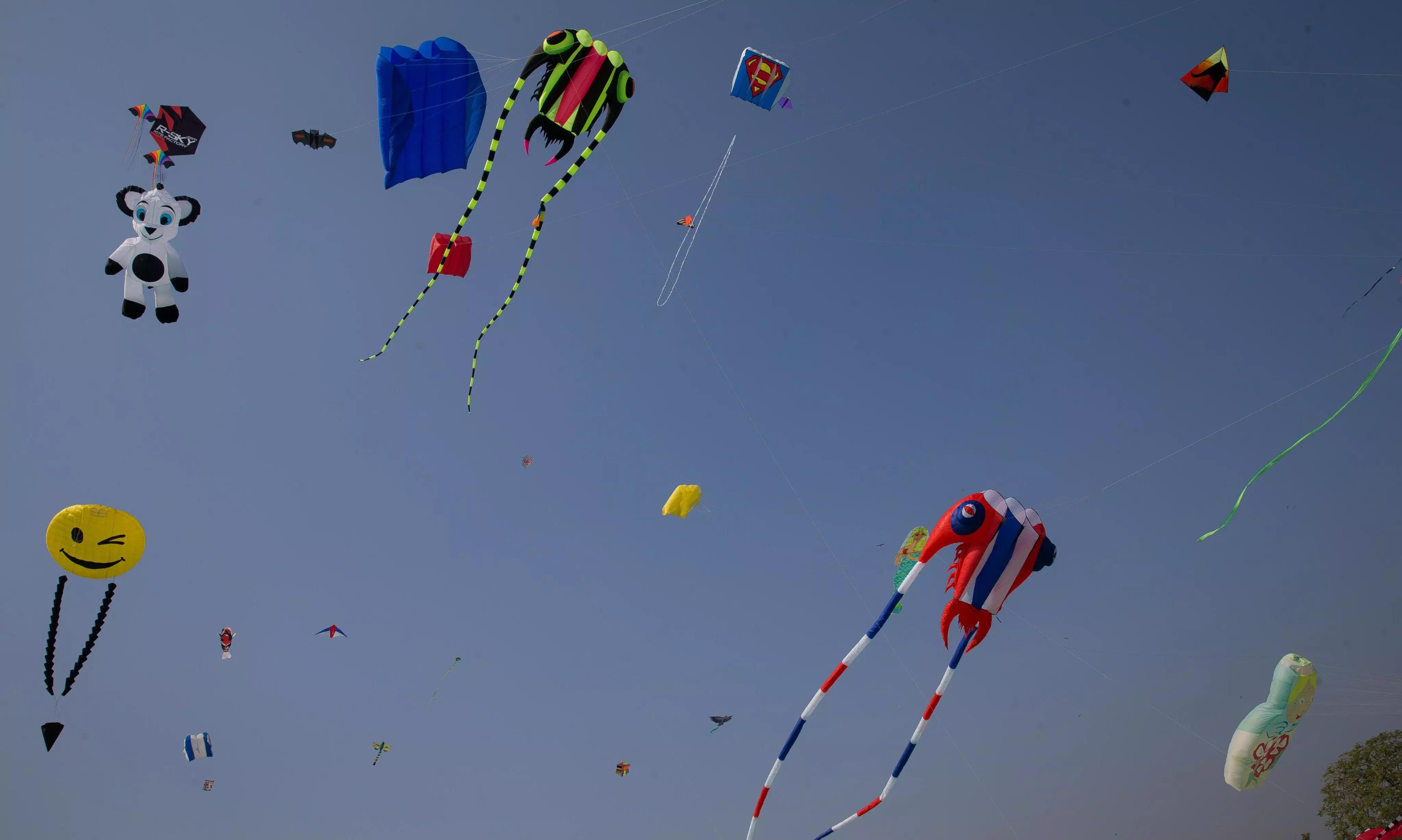 Hyderabad Hosts International Kite Festival for Sankranti