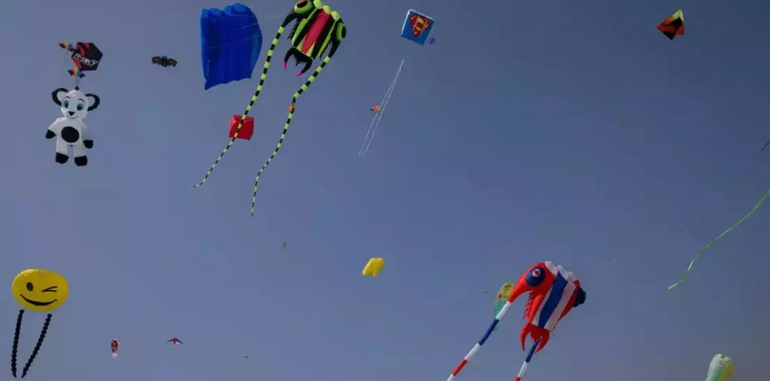 Adivasis celebrate Sankranti with unique traditions