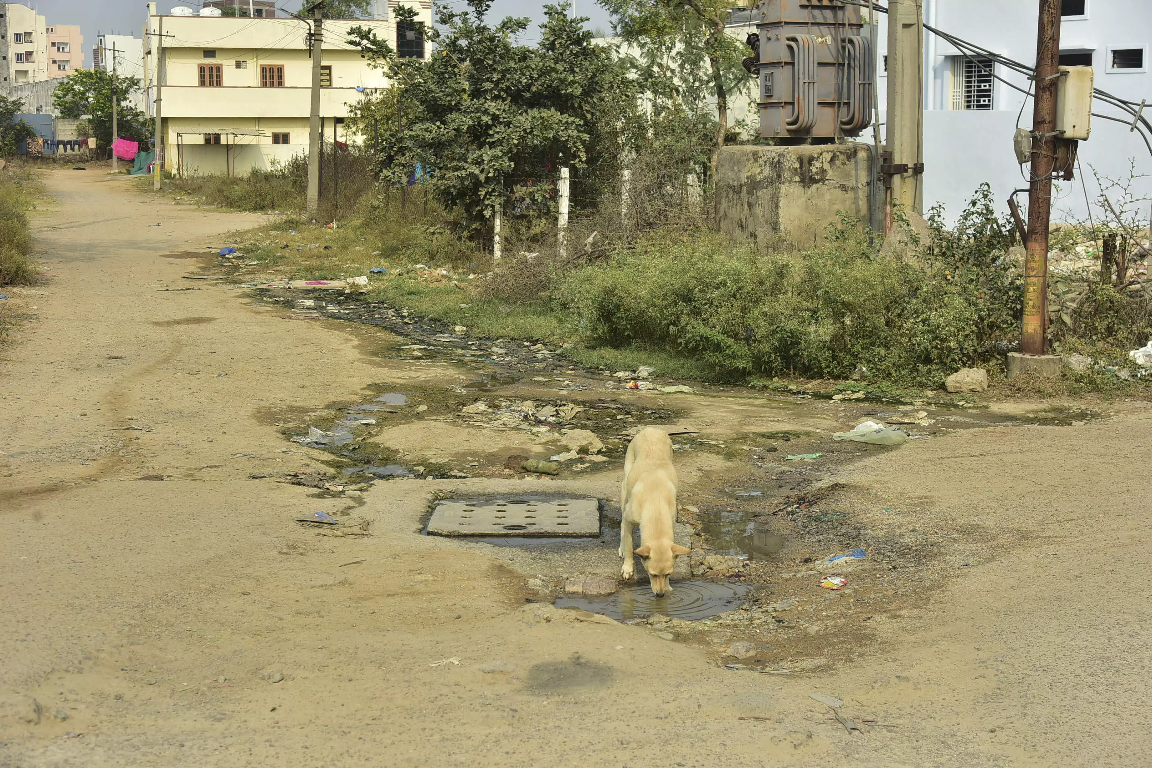 Lakshmiguda housing colony is a picture of utter neglect