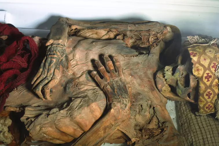 Lasers Reveal Ancient Tattoo Patterns on Peruvian Mummies