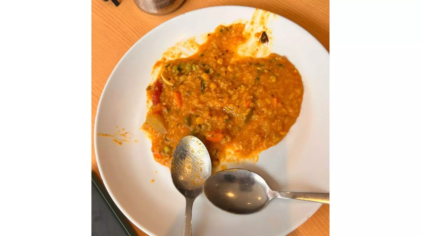 Customer Finds Live Cockroach in Sambar Rice at Minerva Hotel Tourism Plaza