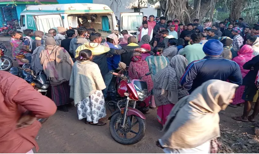 Boy Dies Saving Mother from Wild Elephant Attack in Odisha